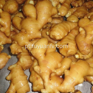 Atacado Premium Grade Organic Fresh Ginger